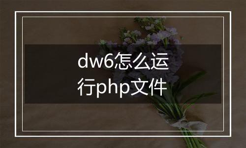 dw6怎么运行php文件