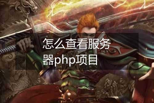 怎么查看服务器php项目