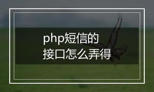 php短信的接口怎么弄得