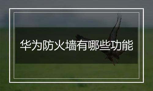 华为防火墙有哪些功能