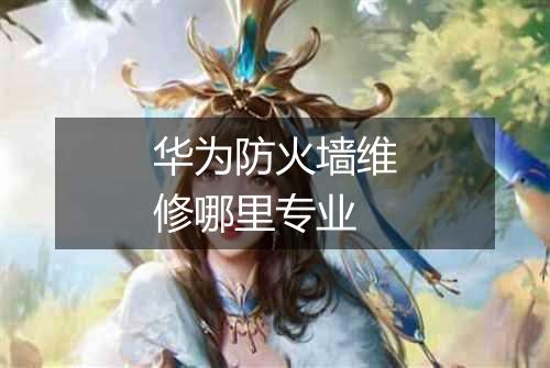 华为防火墙维修哪里专业