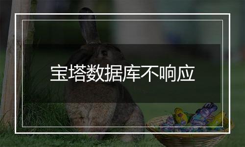 宝塔数据库不响应