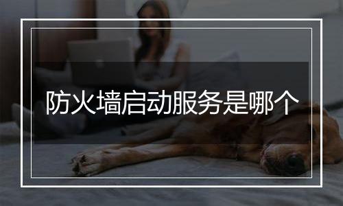 防火墙启动服务是哪个