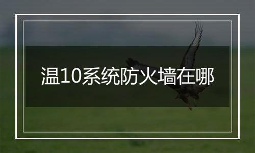 温10系统防火墙在哪