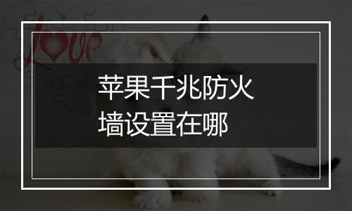 苹果千兆防火墙设置在哪