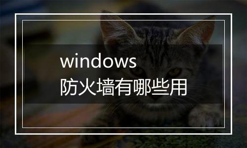 windows防火墙有哪些用