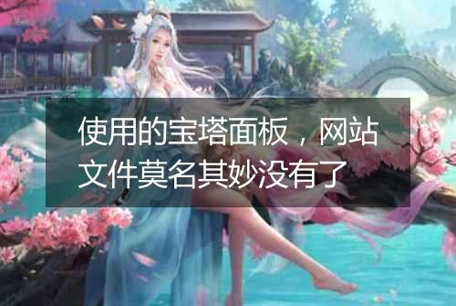 使用的宝塔面板，网站文件莫名其妙没有了