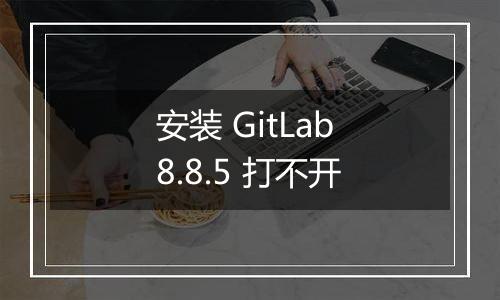 安装 GitLab 8.8.5 打不开