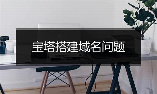 宝塔搭建域名问题