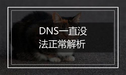 DNS一直没法正常解析