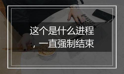 这个是什么进程,一直强制结束