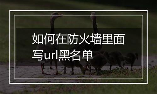 如何在防火墙里面写url黑名单