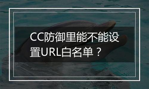 CC防御里能不能设置URL白名单?