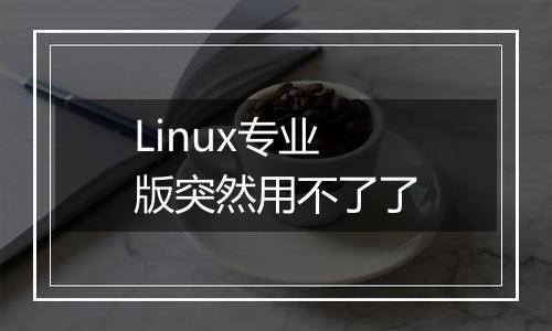 Linux专业版突然用不了了