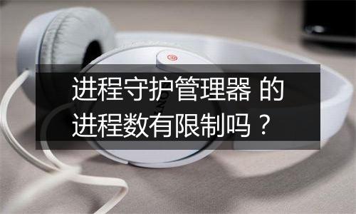 进程守护管理器 的进程数有限制吗?