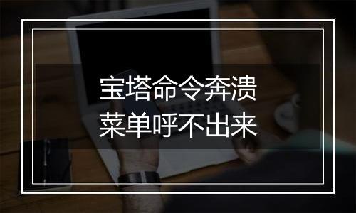 宝塔命令奔溃菜单呼不出来