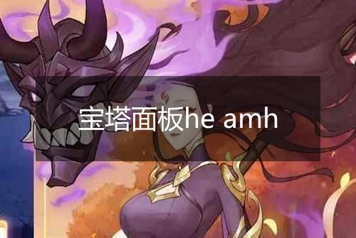 宝塔面板he amh