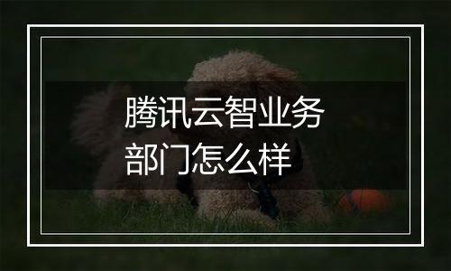 腾讯云智业务部门怎么样