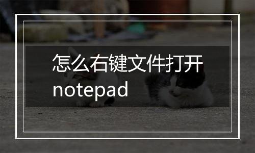 怎么右键文件打开notepad