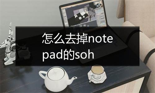 怎么去掉notepad的soh