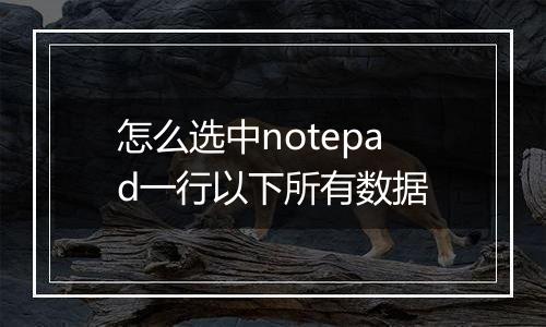 怎么选中notepad一行以下所有数据