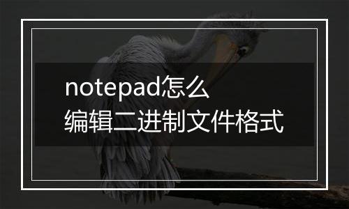 notepad怎么编辑二进制文件格式