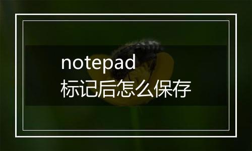 notepad标记后怎么保存