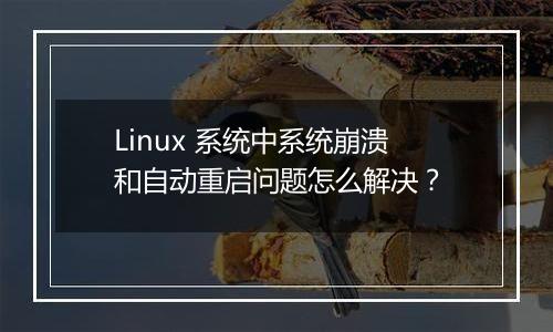 Linux 系统中系统崩溃和自动重启问题怎么解决？
