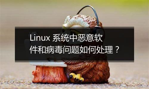 Linux 系统中恶意软件和病毒问题如何处理?