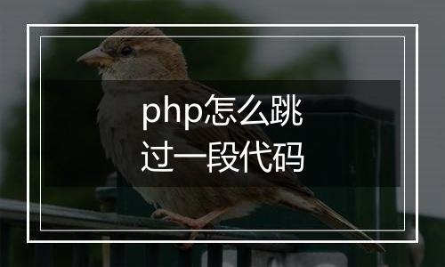php怎么跳过一段代码
