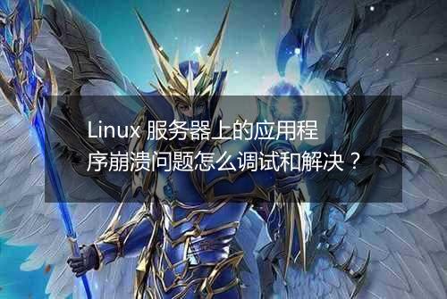 Linux 服务器上的应用程序崩溃问题怎么调试和解决？