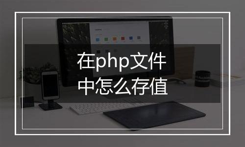 在php文件中怎么存值