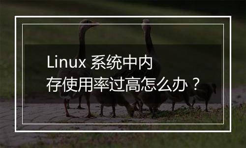 Linux 系统中内存使用率过高怎么办?