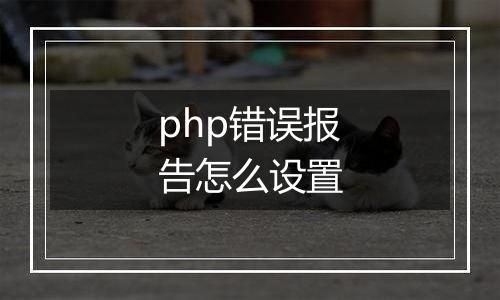 php错误报告怎么设置