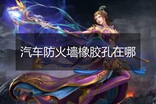 汽车防火墙橡胶孔在哪