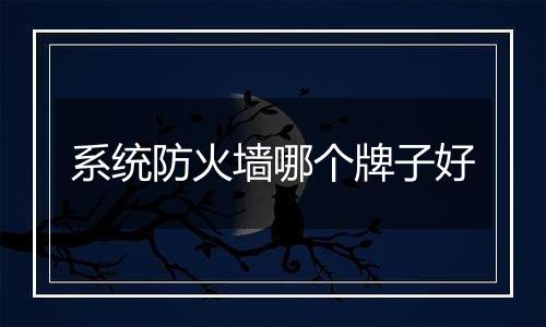 系统防火墙哪个牌子好