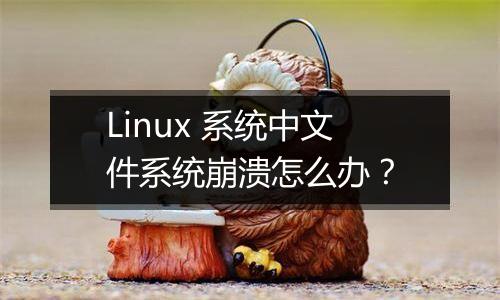 Linux 系统中文件系统崩溃怎么办?