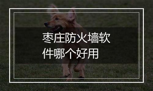 枣庄防火墙软件哪个好用