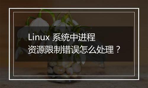 Linux 系统中进程资源限制错误怎么处理?