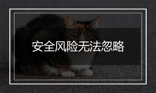 安全风险无法忽略