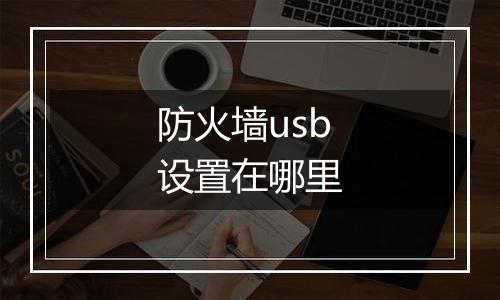 防火墙usb设置在哪里