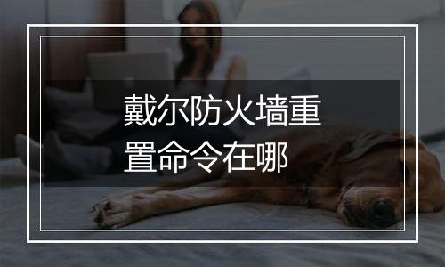 戴尔防火墙重置命令在哪