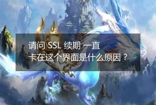 请问 SSL 续期 一直卡在这个界面是什么原因?