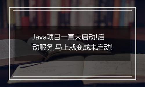 Java项目一直未启动!启动服务,马上就变成未启动!