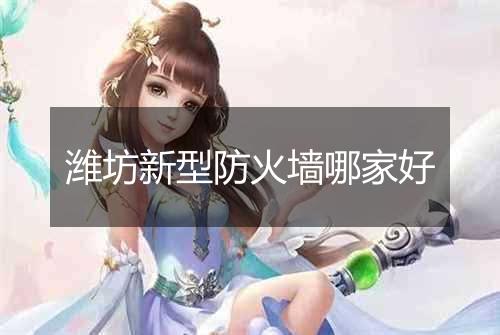 潍坊新型防火墙哪家好