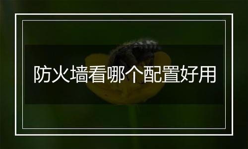 防火墙看哪个配置好用