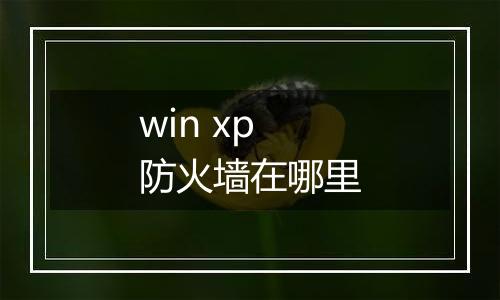 win xp防火墙在哪里