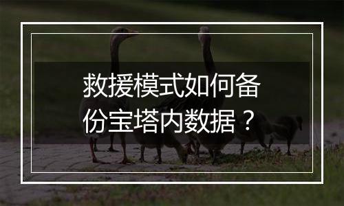 救援模式如何备份宝塔内数据?