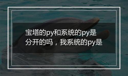 宝塔的py和系统的py是分开的吗，我系统的py是