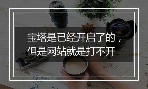宝塔是已经开启了的,但是网站就是打不开